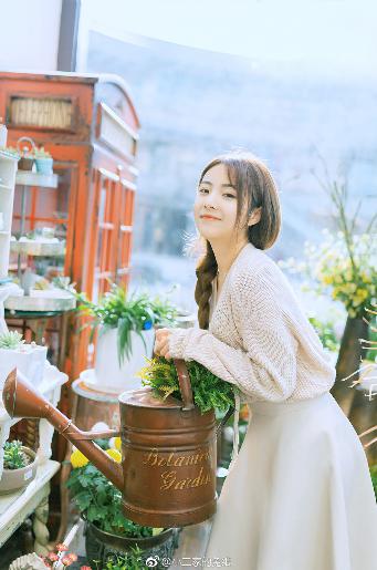 斗破苍穹在线观看全集免费播放