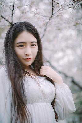 捕风追影电影完整版免费观看高清